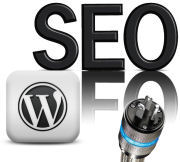 wp seo plugins 2013